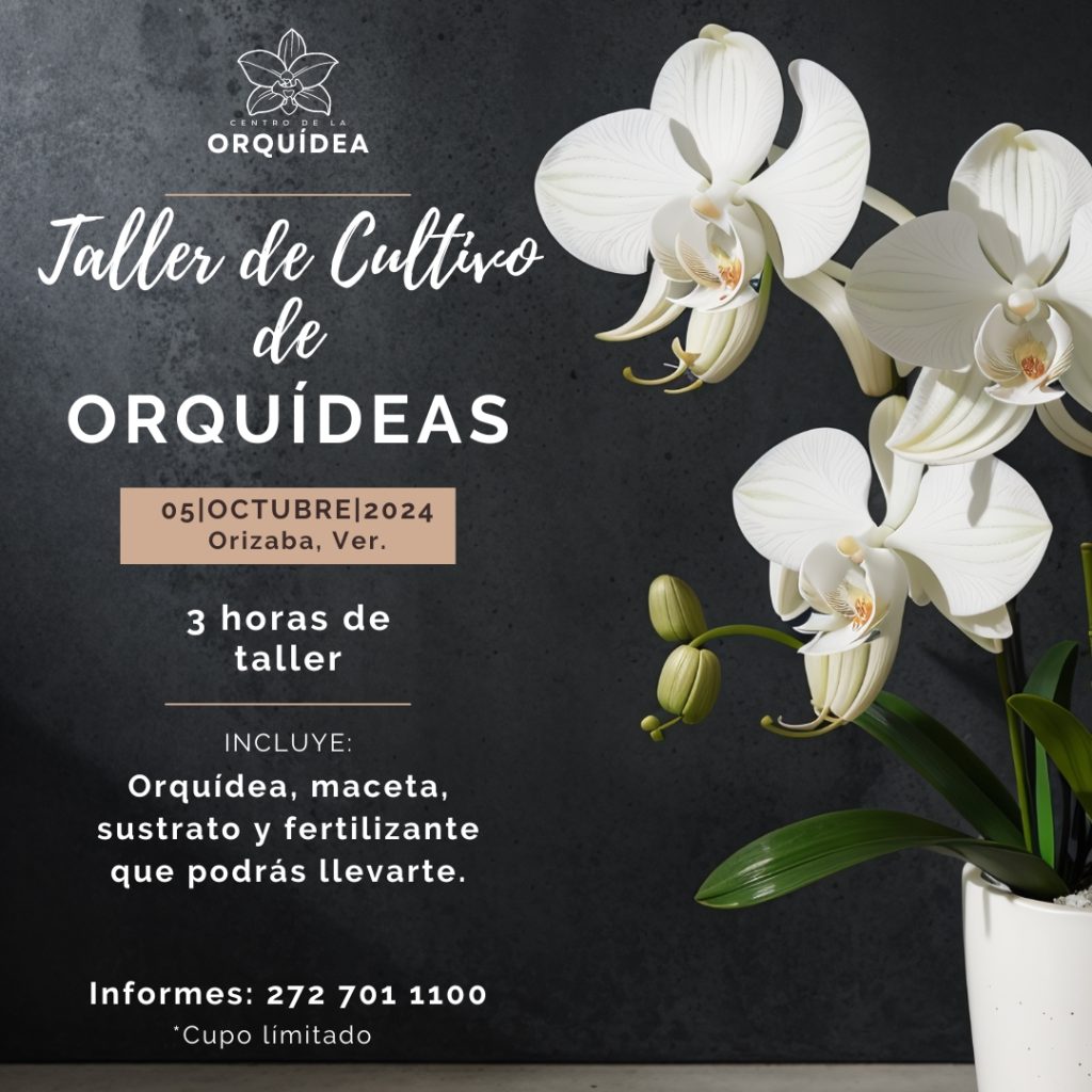 taller de cultivo de orquideas en orizaba